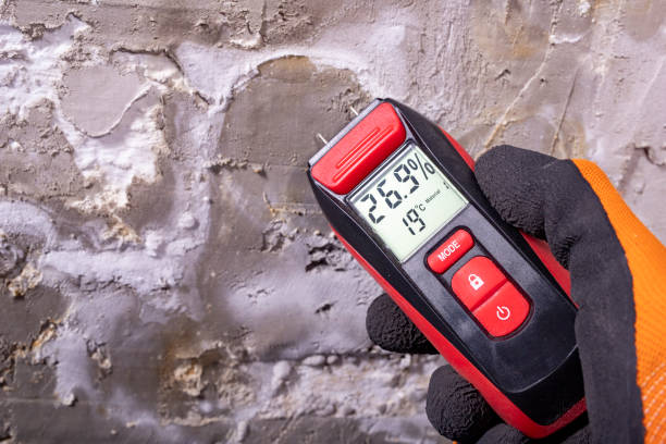 Best Black Mold Remediation in Jackson, LA