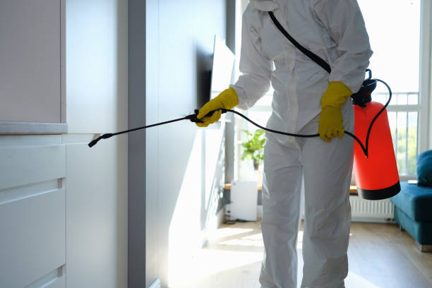 Professional Mold Remediation in Jackson, LA