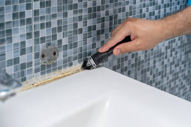 Best Residential Mold Remediation in Jackson, LA