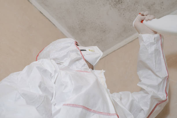 Best Bathroom Mold Remediation in Jackson, LA