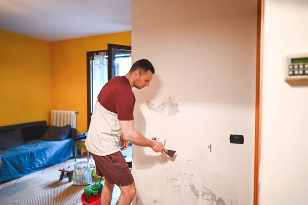 Best Mold Remediation for Specific Building Types in Jackson, LA
